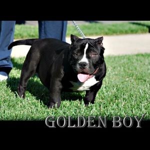 Meet your Posher, Jason